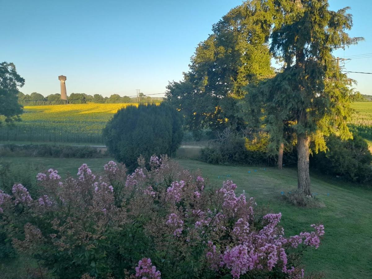 Chateau Ardilleux Zewnętrze zdjęcie